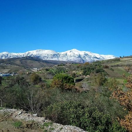Villa Axenti Agios Thomas  Exteriör bild