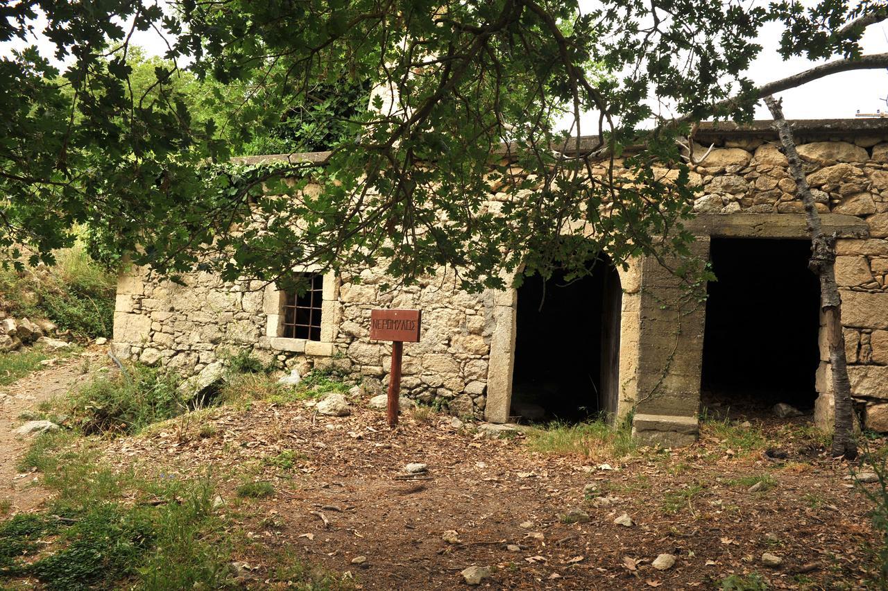 Villa Axenti Agios Thomas  Exteriör bild