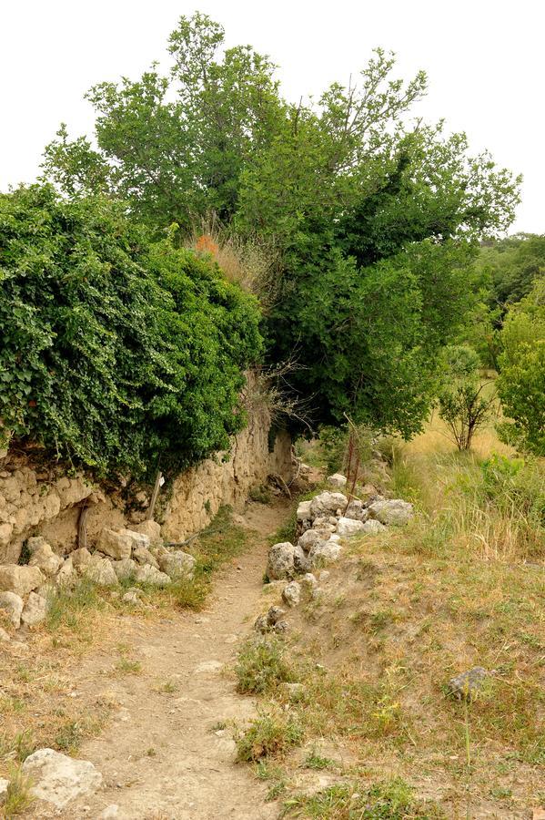 Villa Axenti Agios Thomas  Exteriör bild